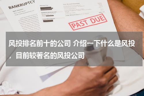 风投排名前十的公司 介绍一下什么是风投，目前较著名的风投公司