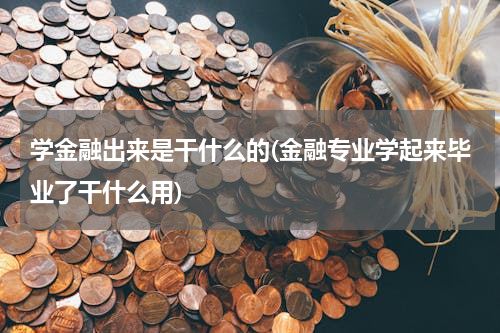 学金融出来是干什么的(金融专业学起来毕业了干什么用)