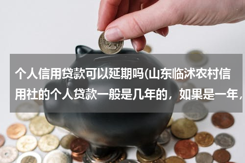 个人信用贷款可以延期吗(山东临沭农村信用社的个人贷款一般是几年的，如果是一年，到期后可以展期吗？展期需要担保人再去签字吗？)