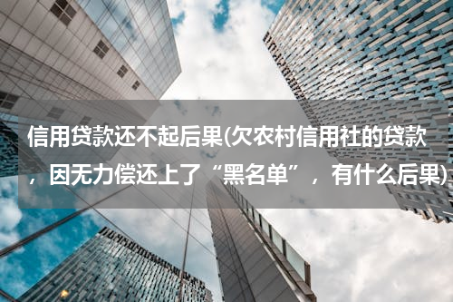 信用贷款还不起后果(欠农村信用社的贷款，因无力偿还上了“黑名单”，有什么后果)