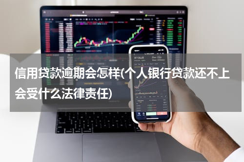 信用贷款逾期会怎样(个人银行贷款还不上会受什么法律责任)