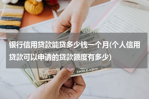 银行信用贷款能贷多少钱一个月(个人信用贷款可以申请的贷款额度有多少)