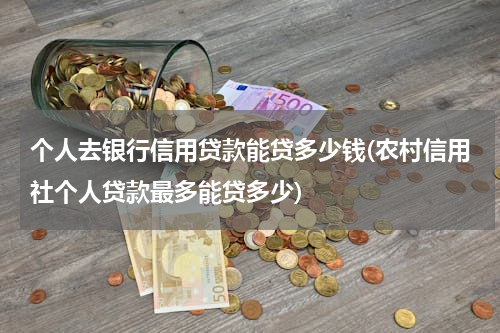个人去银行信用贷款能贷多少钱(农村信用社个人贷款最多能贷多少)