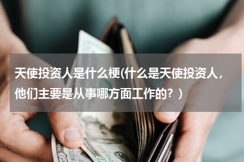 天使投资人是什么梗(什么是天使投资人，他们主要是从事哪方面工作的？)