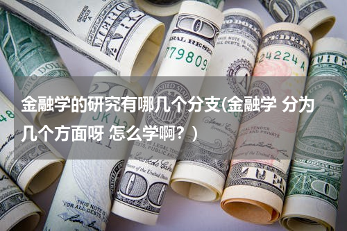 金融学的研究有哪几个分支(金融学 分为几个方面呀 怎么学啊？)