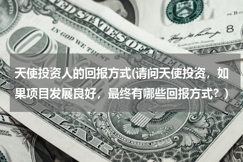 天使投资人的回报方式(请问天使投资，如果项目发展良好，最终有哪些回报方式？)