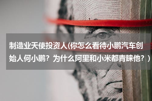 制造业天使投资人(你怎么看待小鹏汽车创始人何小鹏？为什么阿里和小米都青睐他？)