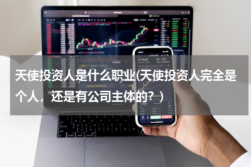 天使投资人是什么职业(天使投资人完全是个人，还是有公司主体的？)