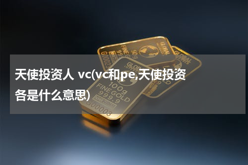 天使投资人 vc(vc和pe,天使投资各是什么意思)
