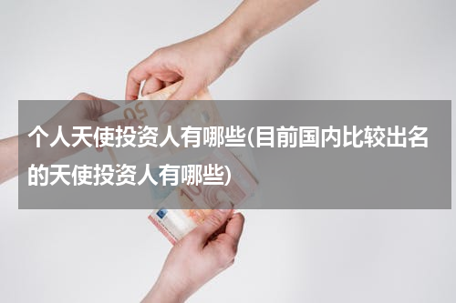 个人天使投资人有哪些(目前国内比较出名的天使投资人有哪些)