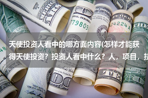天使投资人看中的哪方面内容(怎样才能获得天使投资？投资人看中什么？人，项目，技术？)