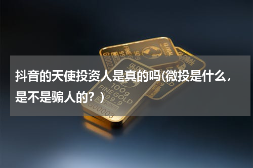 抖音的天使投资人是真的吗(微投是什么，是不是骗人的？)