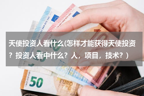 天使投资人看什么(怎样才能获得天使投资？投资人看中什么？人，项目，技术？)