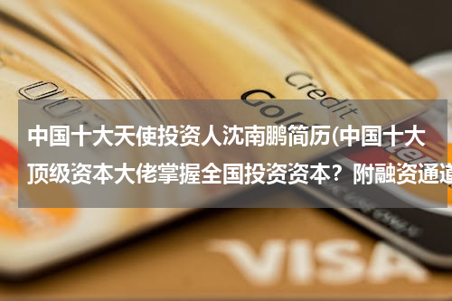 中国十大天使投资人沈南鹏简历(中国十大顶级资本大佬掌握全国投资资本？附融资通道)