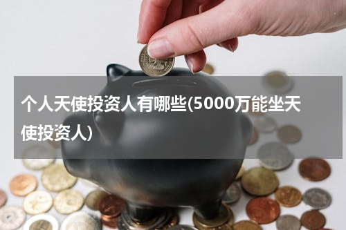 个人天使投资人有哪些(5000万能坐天使投资人)