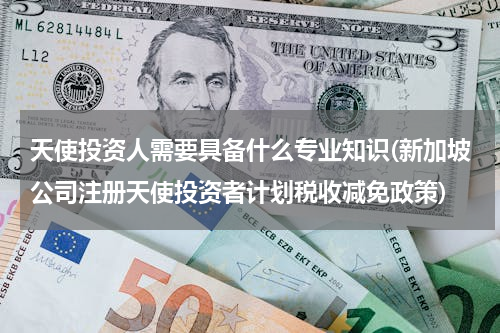 天使投资人需要具备什么专业知识(新加坡公司注册天使投资者计划税收减免政策)