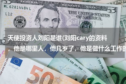 天使投资人刘阳是谁(刘阳cary的资料，他是哪里人，他几岁了，他是做什么工作的)