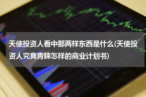 天使投资人看中那两样东西是什么(天使投资人究竟青睐怎样的商业计划书)
