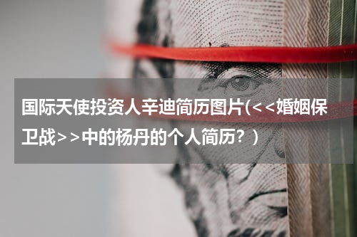 国际天使投资人辛迪简历图片(<<婚姻保卫战>>中的杨丹的个人简历？)