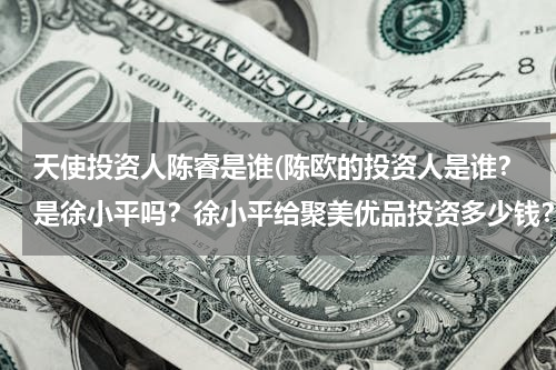 天使投资人陈睿是谁(陈欧的投资人是谁？是徐小平吗？徐小平给聚美优品投资多少钱？有一个采访说为什么要给陈欧的叫什么名字)