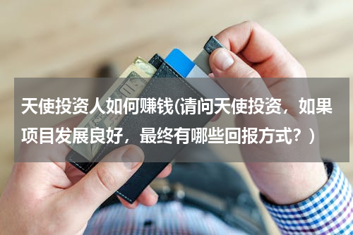 天使投资人如何赚钱(请问天使投资，如果项目发展良好，最终有哪些回报方式？)