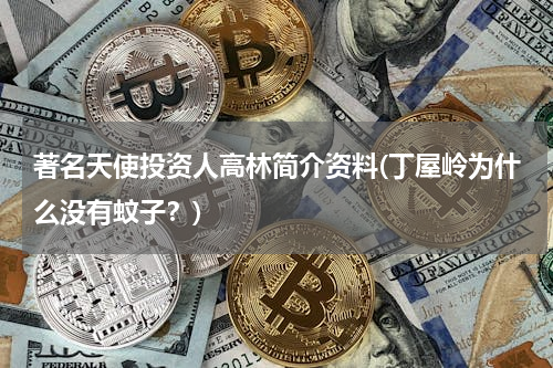 著名天使投资人高林简介资料(丁屋岭为什么没有蚊子？)