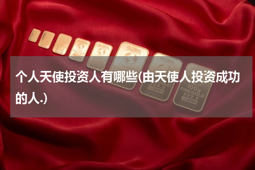 个人天使投资人有哪些(由天使人投资成功的人.)