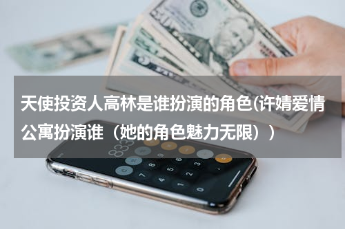 天使投资人高林是谁扮演的角色(许婧爱情公寓扮演谁（她的角色魅力无限）)