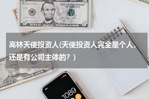 高林天使投资人(天使投资人完全是个人，还是有公司主体的？)