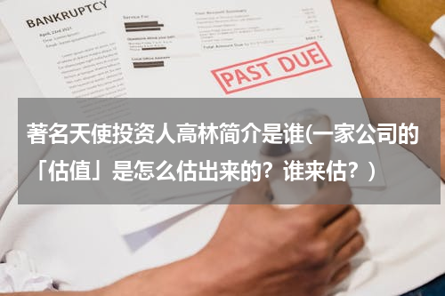 著名天使投资人高林简介是谁(一家公司的「估值」是怎么估出来的？谁来估？)