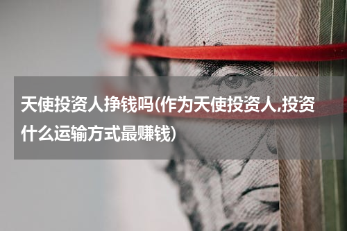 天使投资人挣钱吗(作为天使投资人,投资什么运输方式最赚钱)