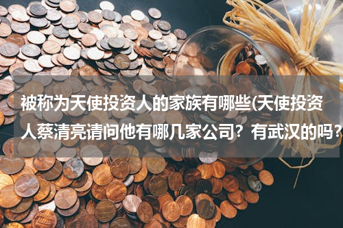 被称为天使投资人的家族有哪些(天使投资人蔡清亮请问他有哪几家公司？有武汉的吗？)