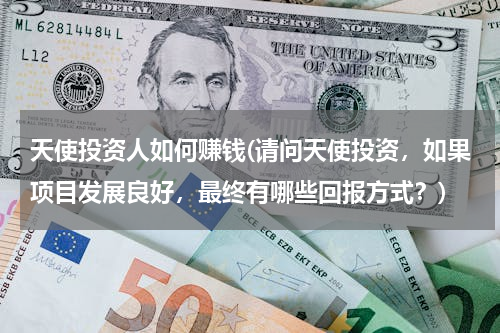 天使投资人如何赚钱(请问天使投资，如果项目发展良好，最终有哪些回报方式？)