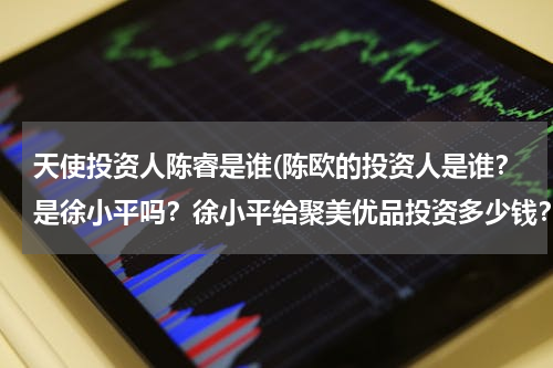 天使投资人陈睿是谁(陈欧的投资人是谁？是徐小平吗？徐小平给聚美优品投资多少钱？有一个采访说为什么要给陈欧的叫什么名字)