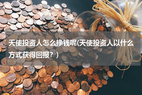 天使投资人怎么挣钱呢(天使投资人以什么方式获得回报？)