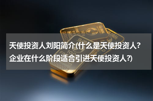 天使投资人刘阳简介(什么是天使投资人?企业在什么阶段适合引进天使投资人?)