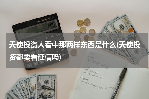 天使投资人看中那两样东西是什么(天使投资都要看征信吗)