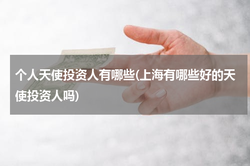 个人天使投资人有哪些(上海有哪些好的天使投资人吗)