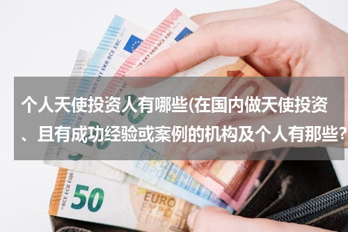 个人天使投资人有哪些(在国内做天使投资、且有成功经验或案例的机构及个人有那些？)