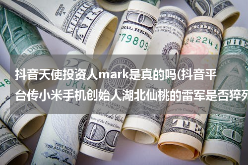 抖音天使投资人mark是真的吗(抖音平台传小米手机创始人湖北仙桃的雷军是否猝死)