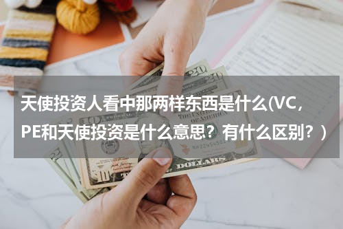天使投资人看中那两样东西是什么(VC，PE和天使投资是什么意思？有什么区别？)