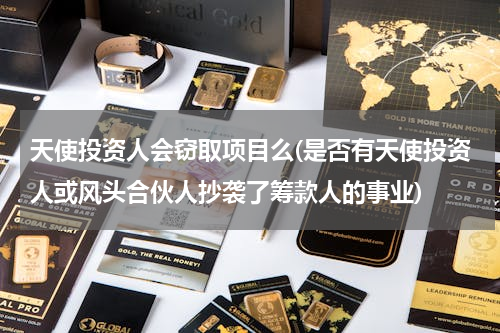 天使投资人会窃取项目么(是否有天使投资人或风头合伙人抄袭了筹款人的事业)