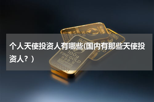 个人天使投资人有哪些(国内有那些天使投资人？)