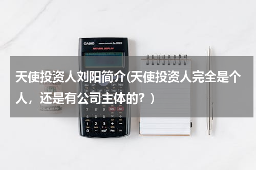 天使投资人刘阳简介(天使投资人完全是个人，还是有公司主体的？)