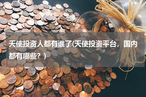 天使投资人都有谁了(天使投资平台，国内都有哪些？)