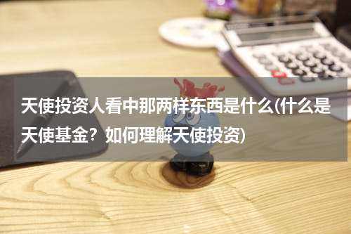 天使投资人看中那两样东西是什么(什么是天使基金？如何理解天使投资)