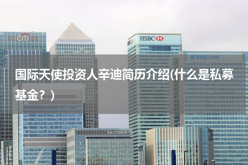国际天使投资人辛迪简历介绍(什么是私募基金？)