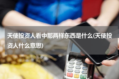 天使投资人看中那两样东西是什么(天使投资人什么意思)