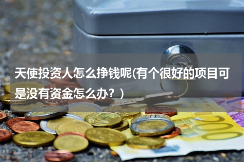 天使投资人怎么挣钱呢(有个很好的项目可是没有资金怎么办？)
