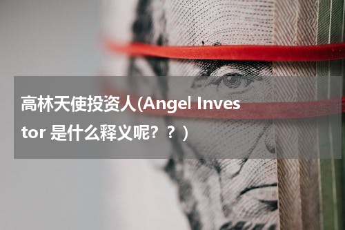 高林天使投资人(Angel Investor 是什么释义呢？？)